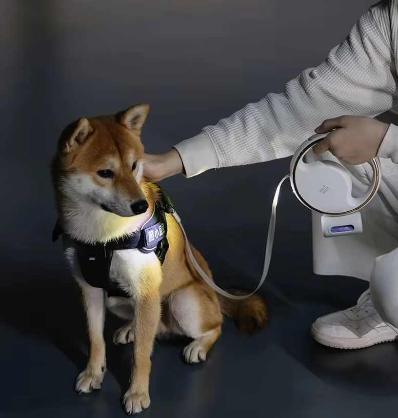 Hundesnor med LED-lys, udtrækkelig, ergonomisk håndtag, reflekterende, til sikre nattevandringer med hunden