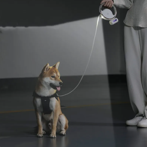 Hundesnor med LED-lys til sikre nattevandringer