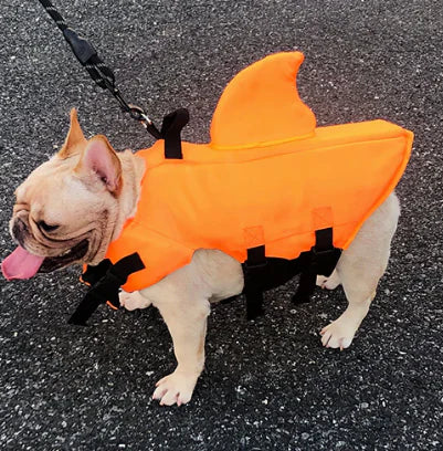 Hundesvømmevest med hajfinne i blåt stof, justerbare stropper for optimal sikkerhed i vandet, egnet til hunde i alle størrelser.