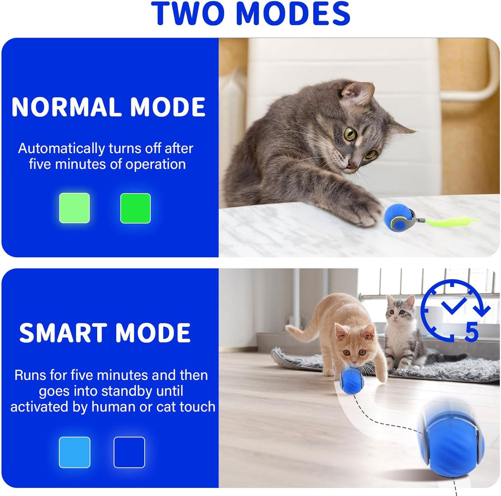Rullende FelineFrenzy bevægelseskugle til indendørs katte, holder dem aktive med interaktivt kattelegetøj.