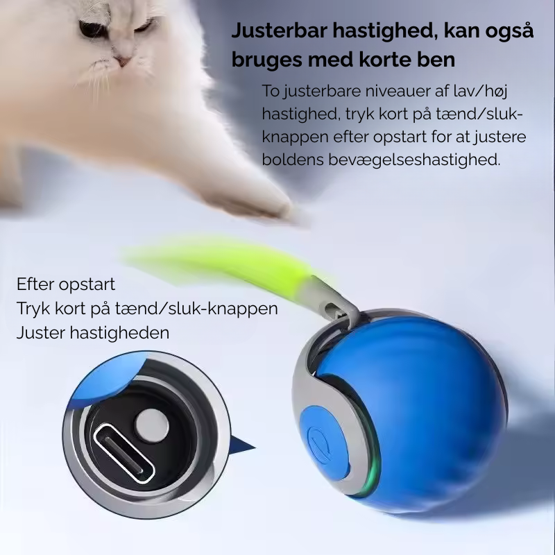 Interaktivt kattelegetøj stimulerer kattens jagtinstinkt, sikrer aktivitet og underholdende sjov.