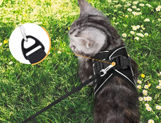 Kattesnor til eventyr, sort med refleksbånd, udbrudssikker og komfortabel til sikre gåture