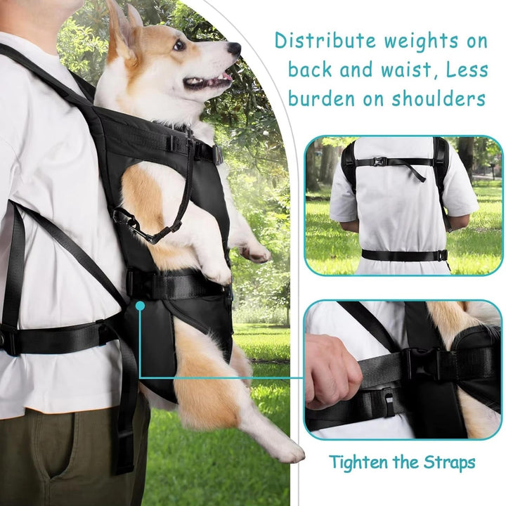 Mand vandrer med hund i ergonomisk hundebæresæk. Håndfri transport og komfort til begge.