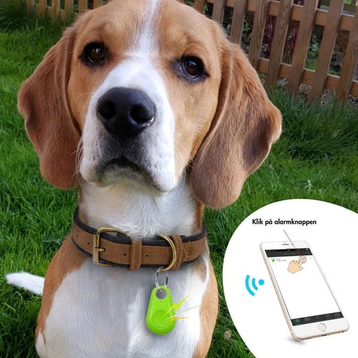 Genopladelig mini GPS tracker for langvarig live sporing af børn, kæledyr og værdier.