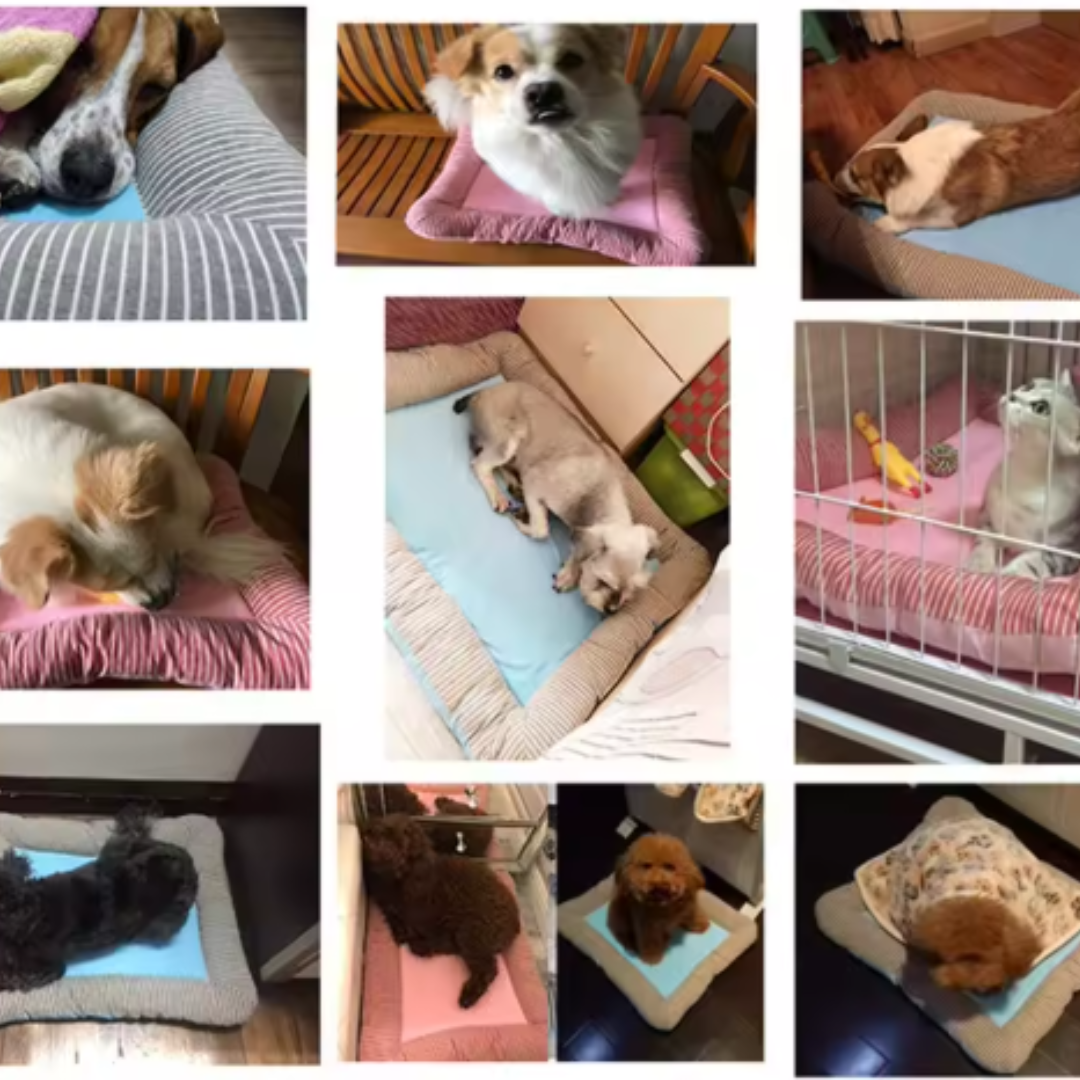 Kølemåtte til kæledyr: Blød blå måtte giver passiv forfriskning og komfort, ideel til hund eller kat om sommeren.