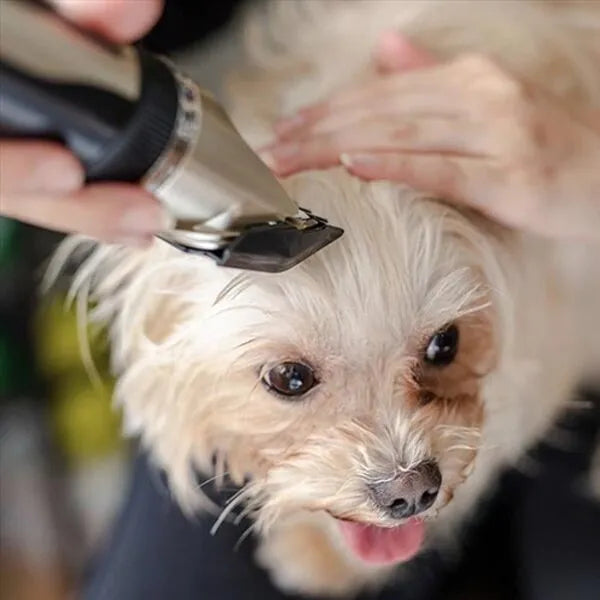Støjsvag pelspleje trimmer til hunde med stille teknologi, effektivitet, bløde skæreblade, lang batterilevetid og nem rengøring.