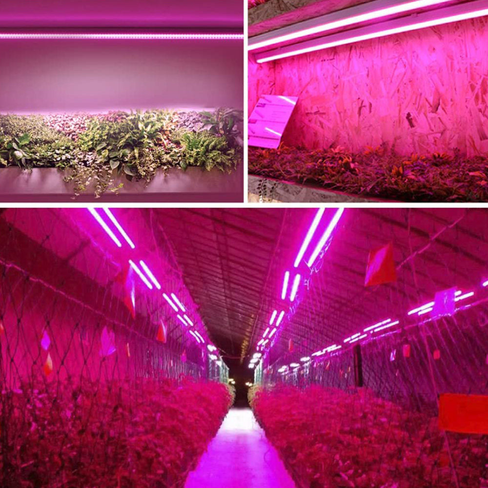 LED plantelampe, fuld spektrum, energieffektiv, med trækafbryder, ideel til sund plantevækst indendørs.