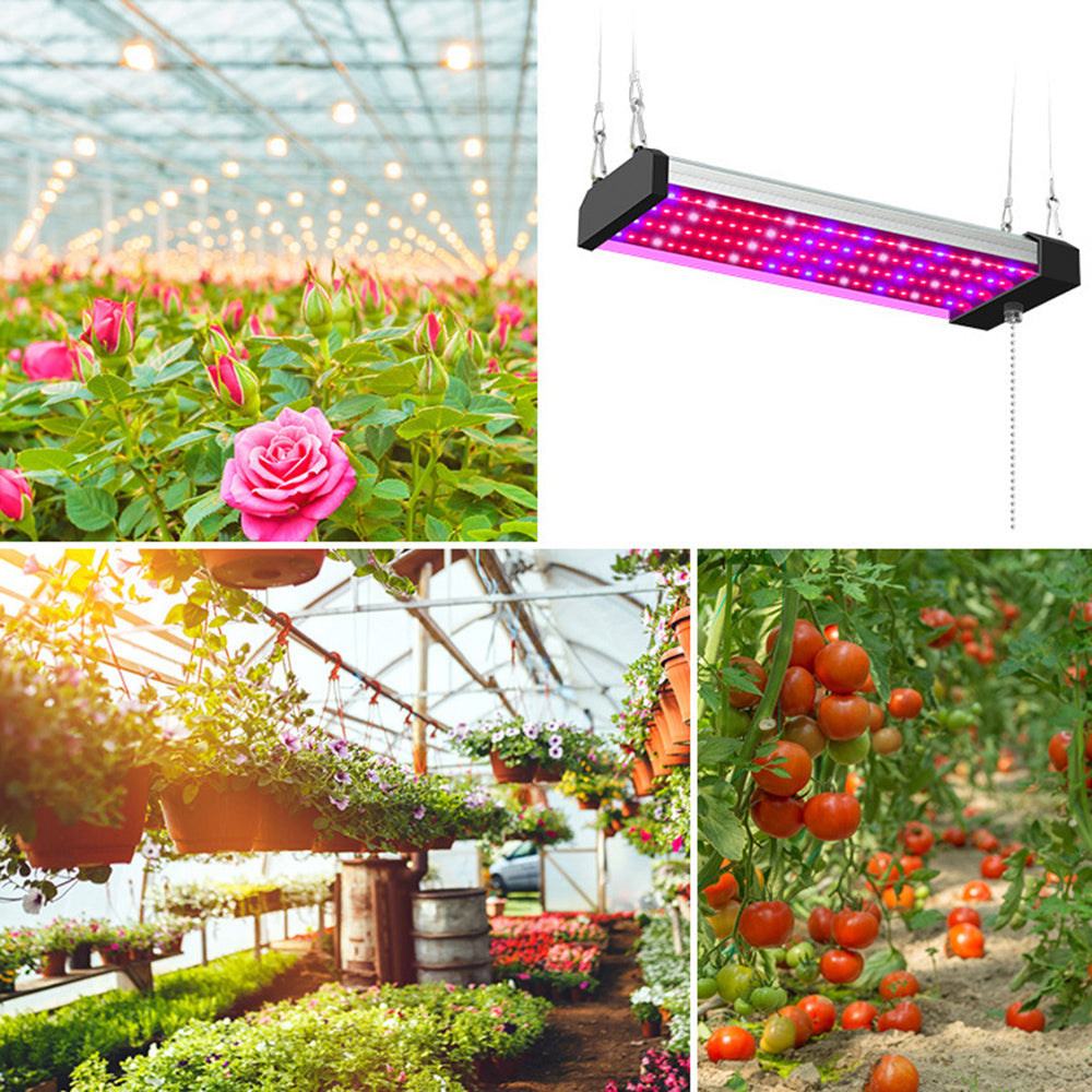 LED plantelampe, fuld spektrum, energieffektiv, med trækafbryder, ideel til sund plantevækst indendørs.