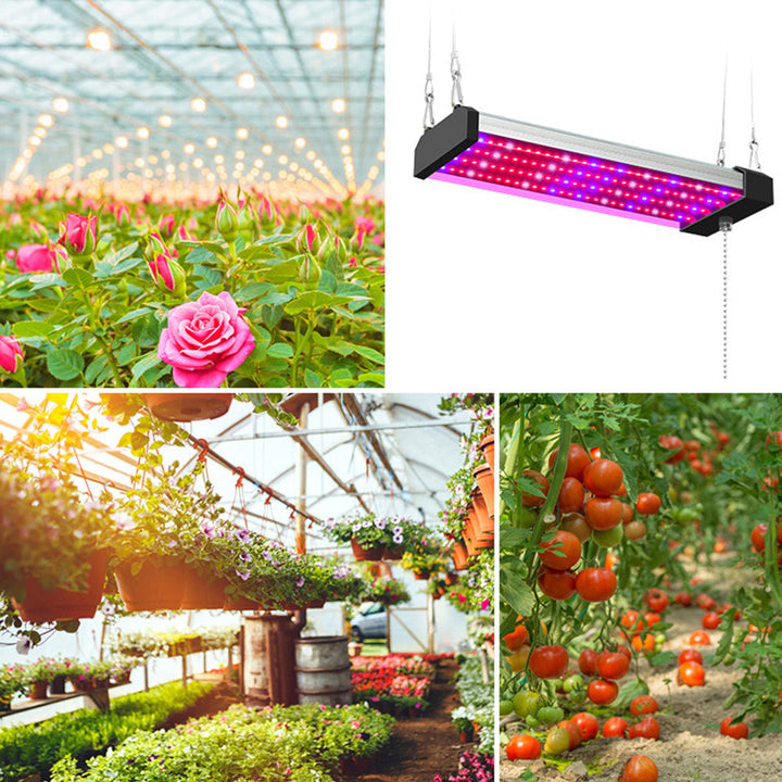 LED plantelampe, fuld spektrum, energieffektiv, med trækafbryder, ideel til sund plantevækst indendørs.