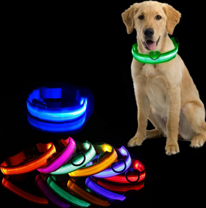 Lysende, multifarvet LED-hundehalsbånd for optimal synlighed og sikkerhed i mørke, justerbart og vejrbestandigt