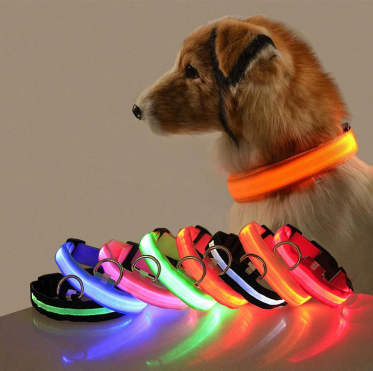 Lysende, multifarvet LED-hundehalsbånd for optimal synlighed og sikkerhed i mørke, justerbart og vejrbestandigt