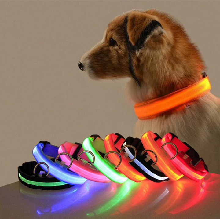 Lysende, multifarvet LED-hundehalsbånd for optimal synlighed og sikkerhed i mørke, justerbart og vejrbestandigt