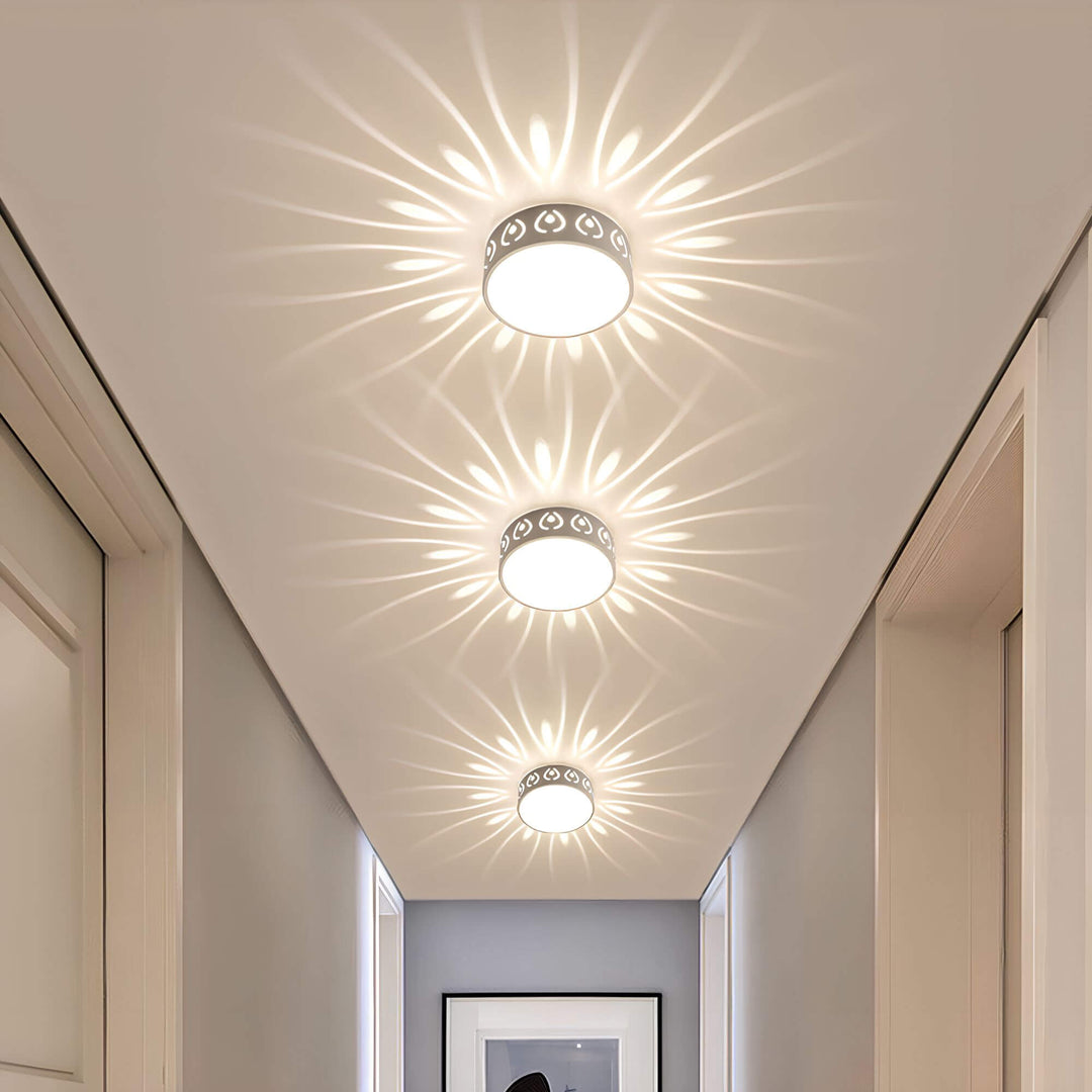 Moderne LED loftslygte, energieffektiv med 30 cm diameter, ideel til gang eller altan, i felwit og varm hvid.