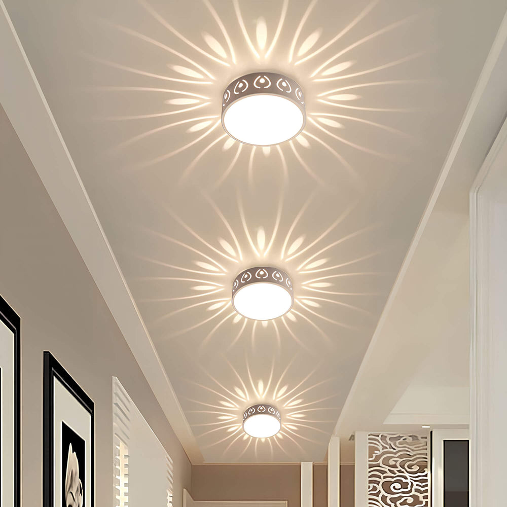 Moderne LED loftslygte, energieffektiv med 30 cm diameter, ideel til gang eller altan, i felwit og varm hvid.