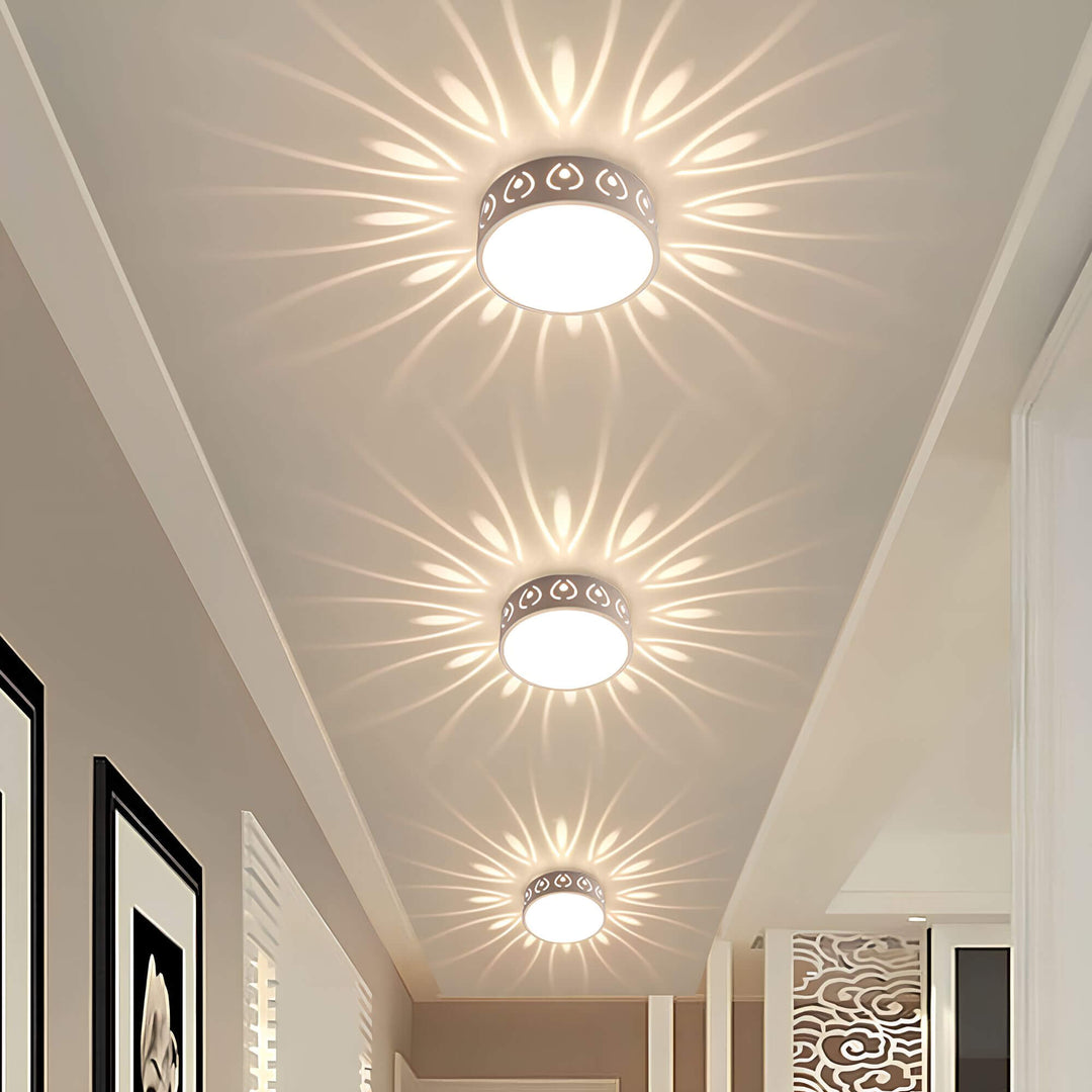 Moderne LED loftslygte, energieffektiv med 30 cm diameter, ideel til gang eller altan, i felwit og varm hvid.