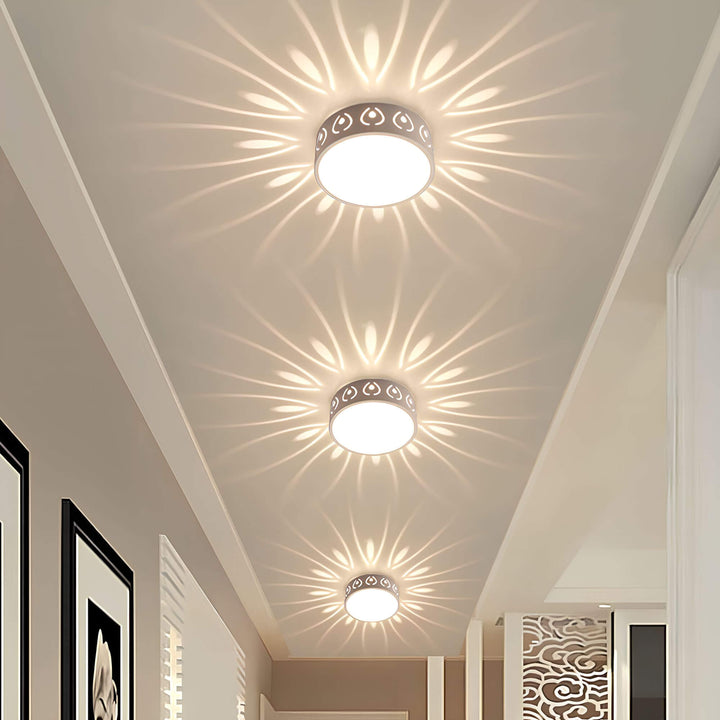 Moderne LED loftslygte, energieffektiv med 30 cm diameter, ideel til gang eller altan, i felwit og varm hvid.