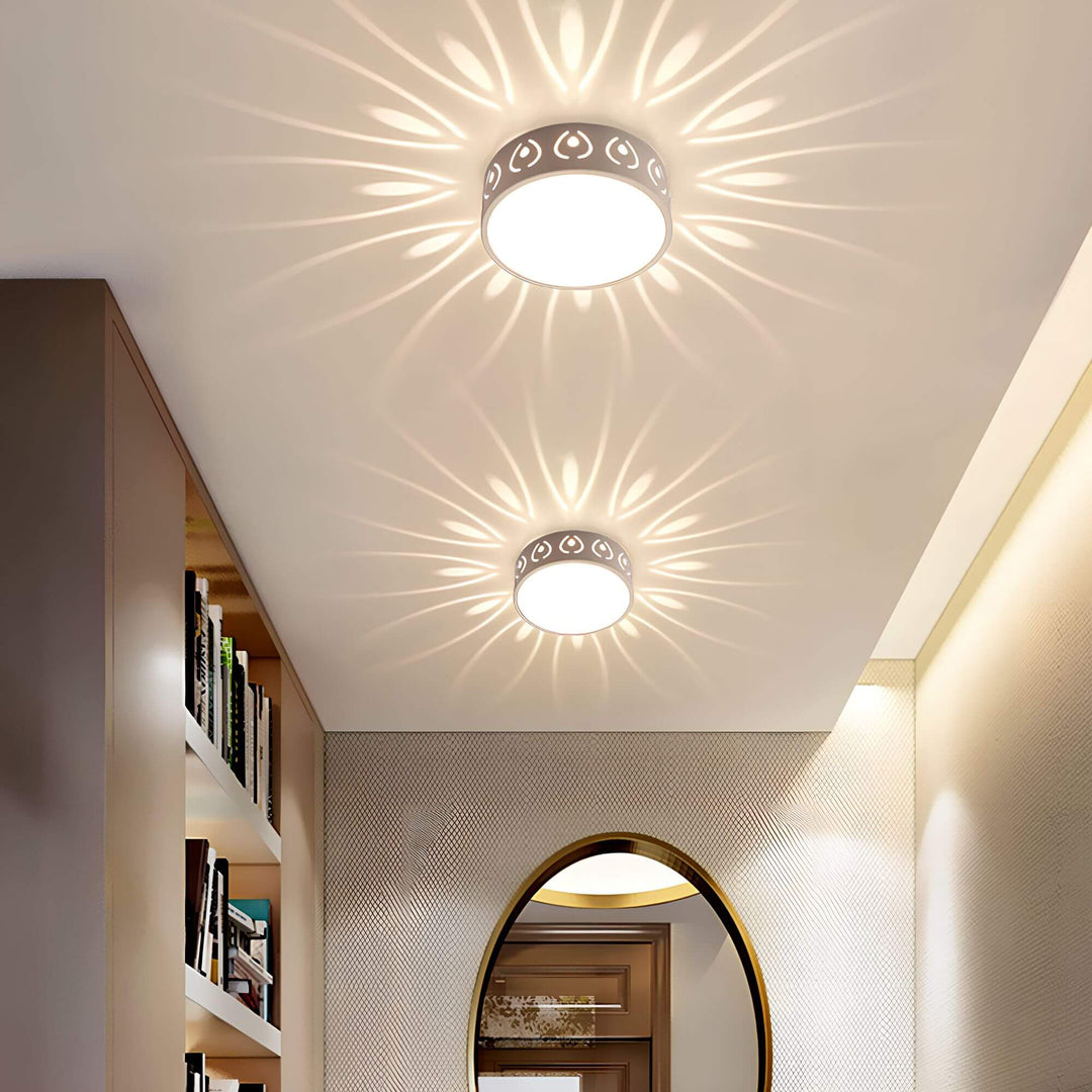 Moderne LED loftslygte, energieffektiv med 30 cm diameter, ideel til gang eller altan, i felwit og varm hvid.