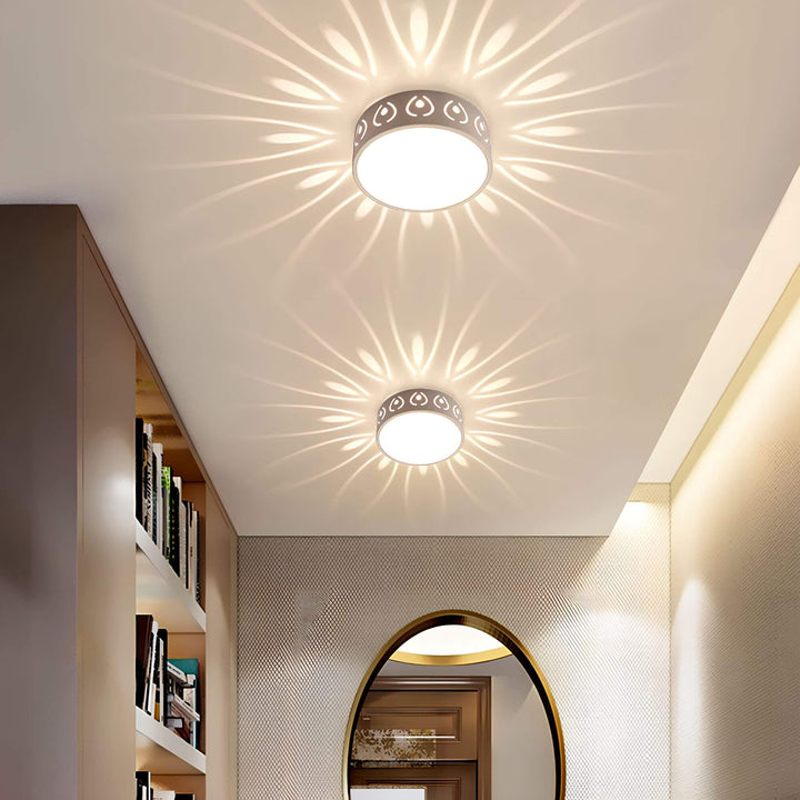 Moderne LED loftslygte, energieffektiv med 30 cm diameter, ideel til gang eller altan, i felwit og varm hvid.