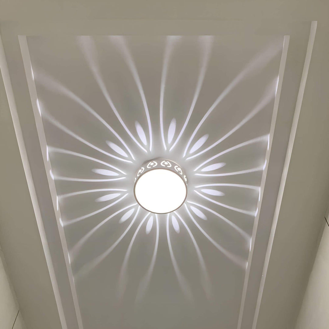 Moderne LED loftslygte, energieffektiv med 30 cm diameter, ideel til gang eller altan, i felwit og varm hvid.