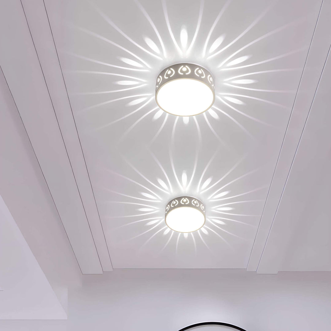 Moderne LED loftslygte, energieffektiv med 30 cm diameter, ideel til gang eller altan, i felwit og varm hvid.