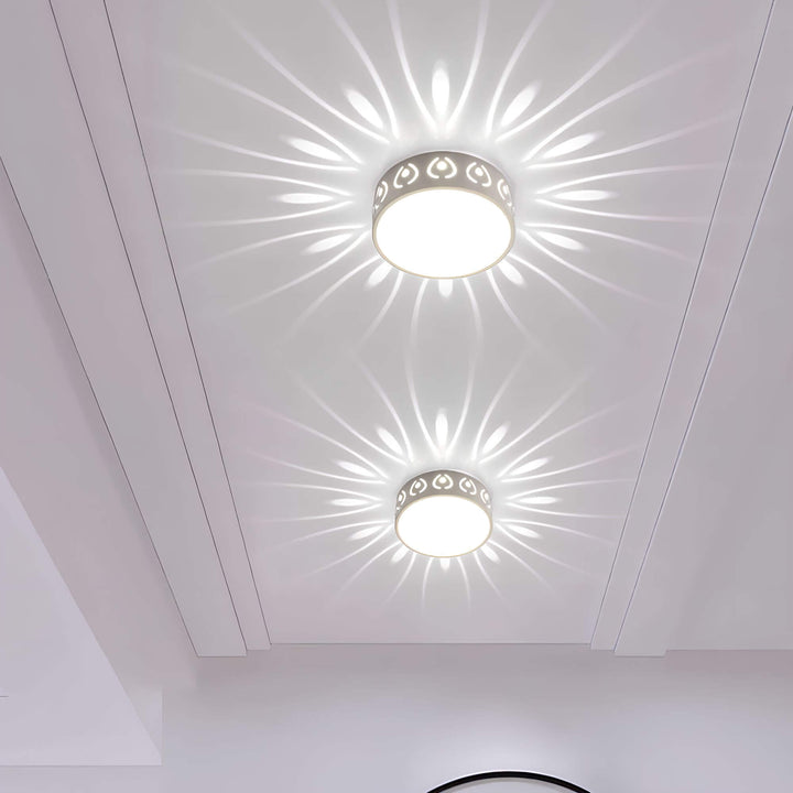 Moderne LED loftslygte, energieffektiv med 30 cm diameter, ideel til gang eller altan, i felwit og varm hvid.