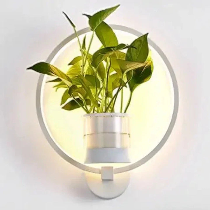 Moderne væglampe i glas og jern med integreret plantekasse, ideel til stuer og kontorer, stilfuldt design.