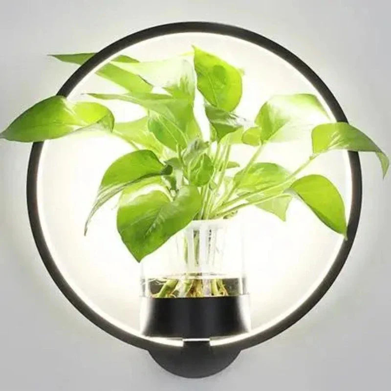 Moderne væglampe i glas og jern med integreret plantekasse, ideel til stuer og kontorer, stilfuldt design.