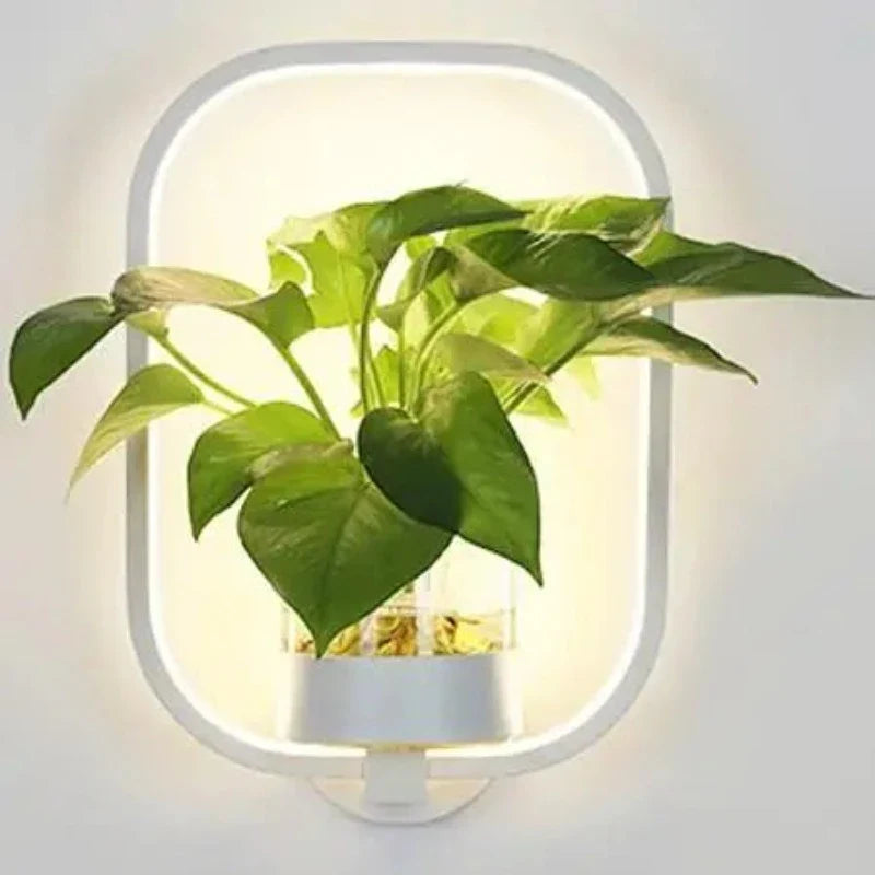Moderne væglampe i glas og jern med integreret plantekasse, ideel til stuer og kontorer, stilfuldt design.