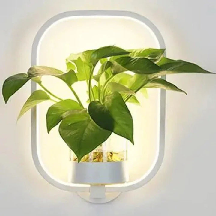 Moderne væglampe i glas og jern med integreret plantekasse, ideel til stuer og kontorer, stilfuldt design.