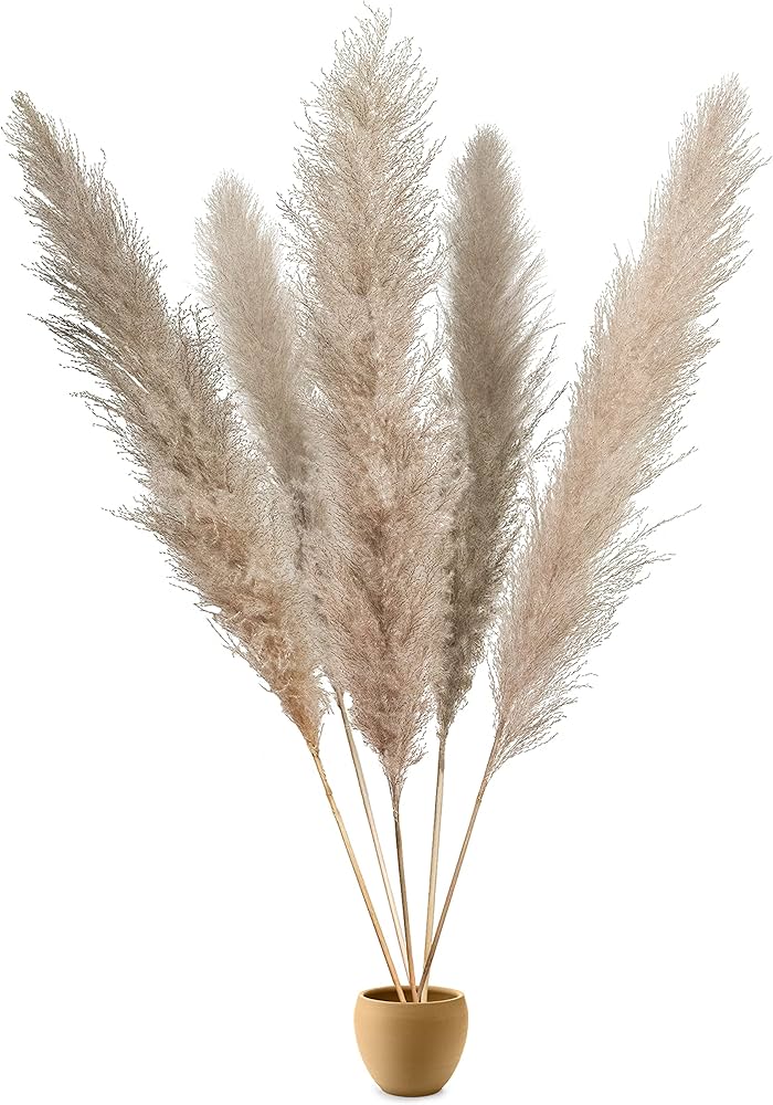 Nærbillede af fluffy, beige pampasgræs, perfekt til naturlig og stilfuld hjemmedekoration i boho stil.