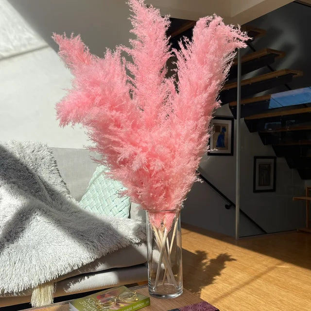 Langvarigt pampasgræs. Smukke tørrede blomster som vedvarende og naturlig hjemmedekoration i boho stil.