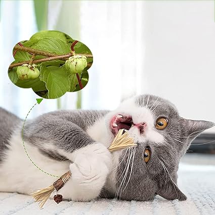 Naturlige Kitty Tandrensningspinde til katte, grøn, slank, for tandpleje og frisk ånde, sikker og naturlig.