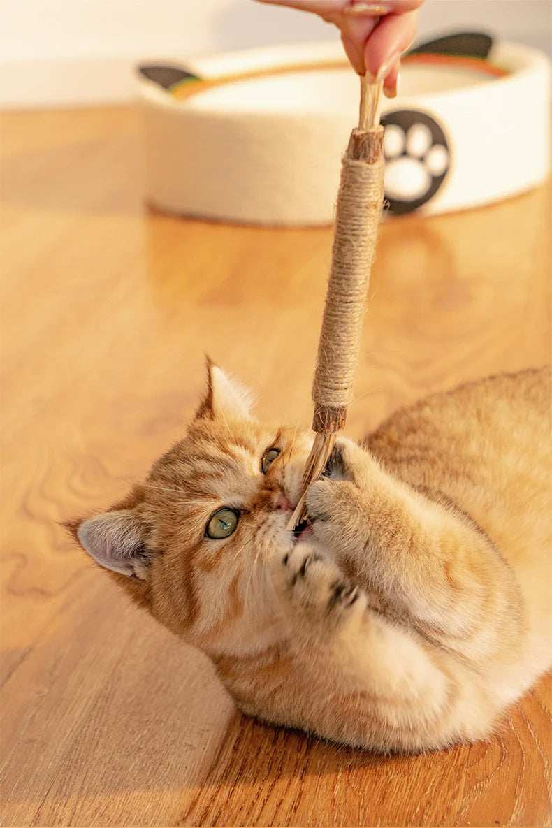 Naturlige Kitty Tandrensningspinde til katte, grøn, slank, for tandpleje og frisk ånde, sikker og naturlig.