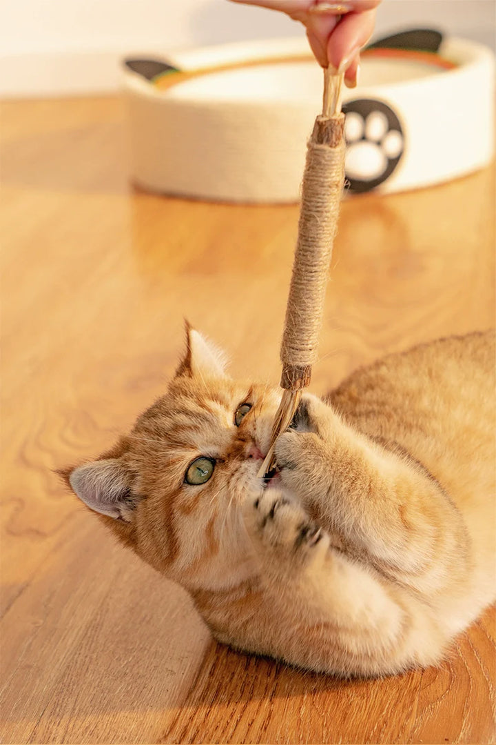 Naturlige Kitty Tandrensningspinde til katte, grøn, slank, for tandpleje og frisk ånde, sikker og naturlig.