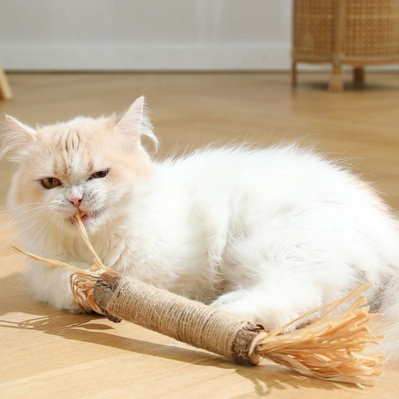 Naturlige Kitty Tandrensningspinde til katte, grøn, slank, for tandpleje og frisk ånde, sikker og naturlig.
