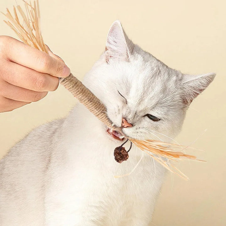 Naturlige Kitty Tandrensningspinde til katte, grøn, slank, for tandpleje og frisk ånde, sikker og naturlig.