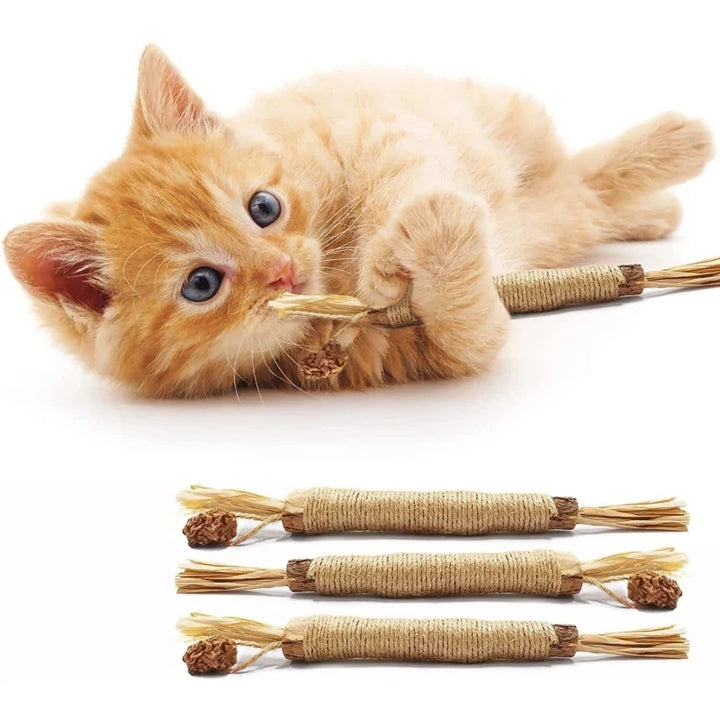Naturlige Kitty Tandrensningspinde til katte, grøn, slank, for tandpleje og frisk ånde, sikker og naturlig.