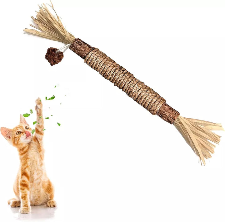 Naturlige Kitty Tandrensningspinde til katte, grøn, slank, for tandpleje og frisk ånde, sikker og naturlig.