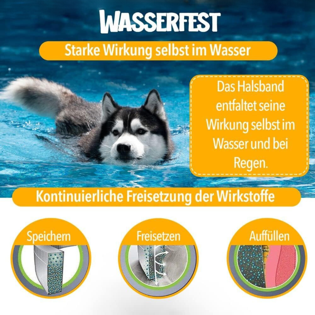 NaturaGuard halsbånd, naturlig flåtbeskyttelse til hunde, grønt, vandtæt, justerbart, tilpasser sig ethvert kæledyr.