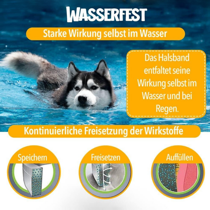 NaturaGuard halsbånd, naturlig flåtbeskyttelse til hunde, grønt, vandtæt, justerbart, tilpasser sig ethvert kæledyr.