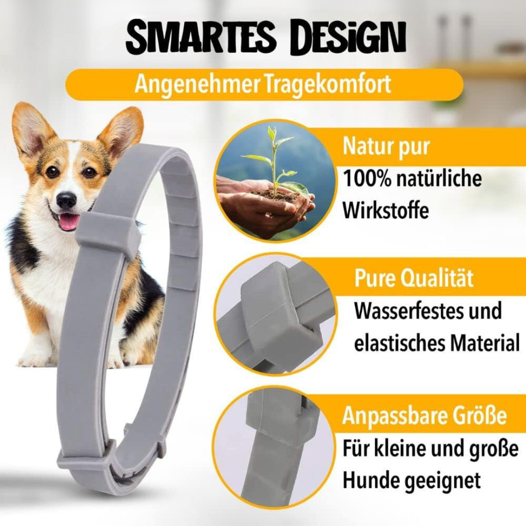NaturaGuard halsbånd, naturlig flåtbeskyttelse til hunde, grønt, vandtæt, justerbart, tilpasser sig ethvert kæledyr.