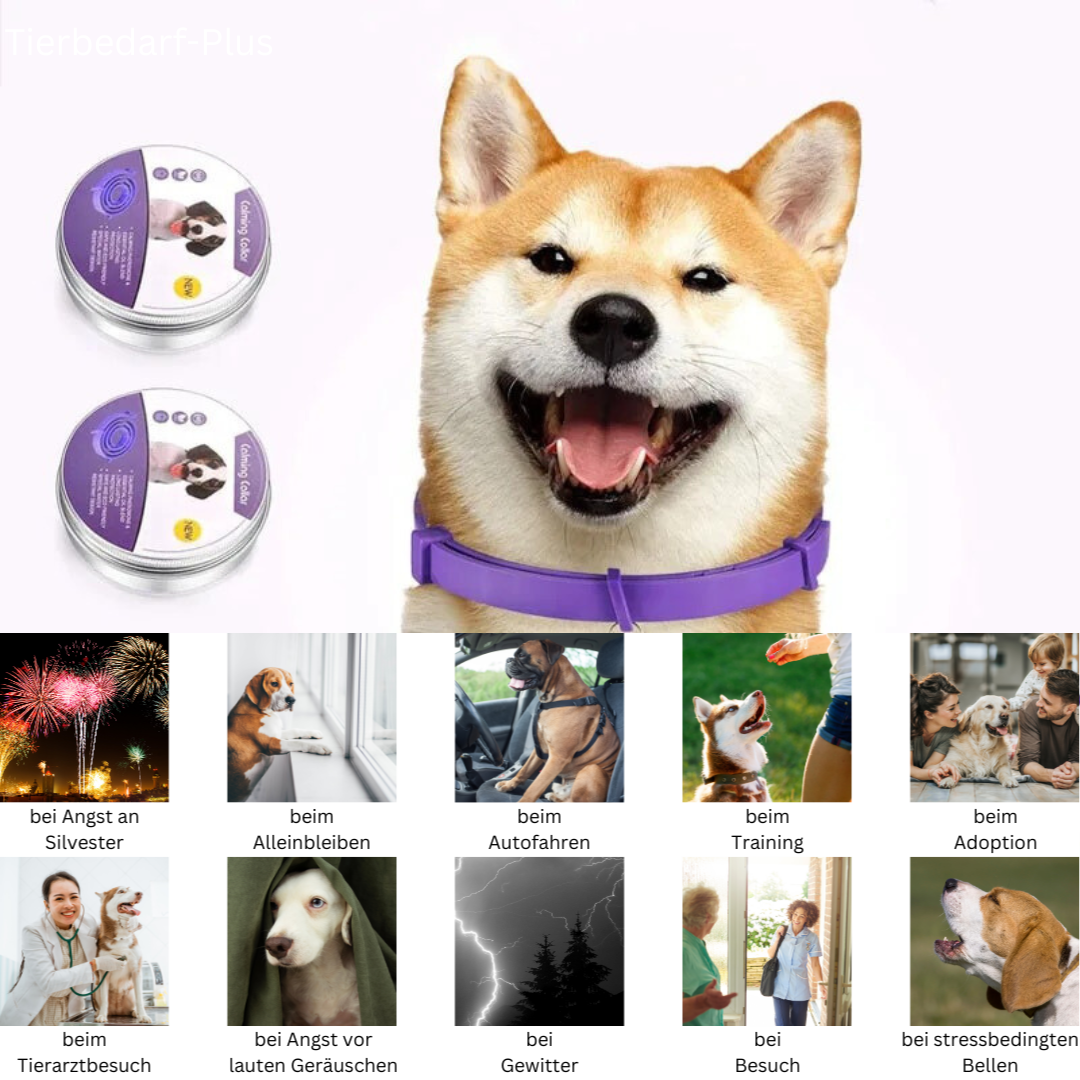 Naturligt, vandtæt feromonhalsbånd til hunde og katte, gråt design, reducerer stress og angst.