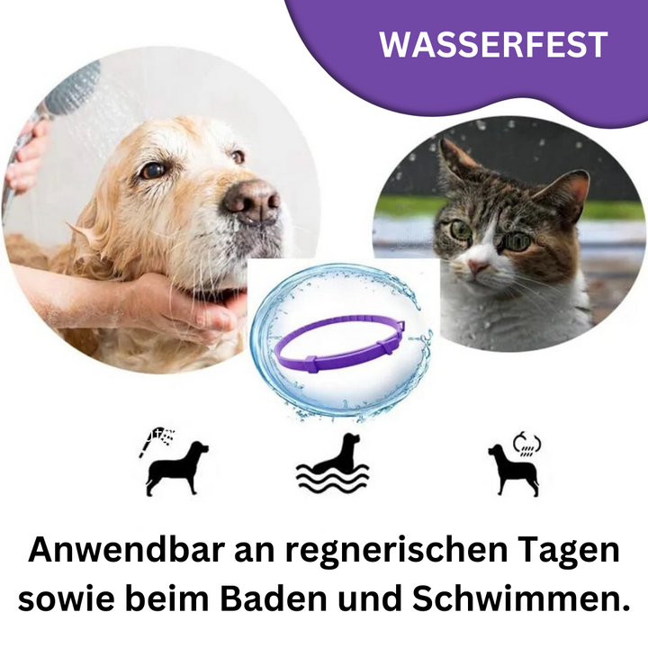Naturligt, vandtæt feromonhalsbånd til hunde og katte, gråt design, reducerer stress og angst.