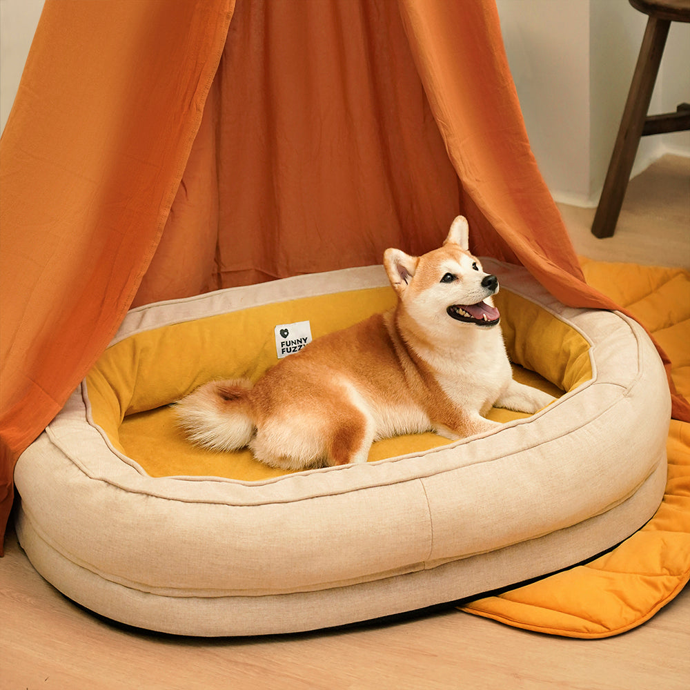 "Orthopädisches flauschiges Haustierbett in Donutform, beige, für Hunde, bietet Komfort und Unterstützung auf glatten Böden."