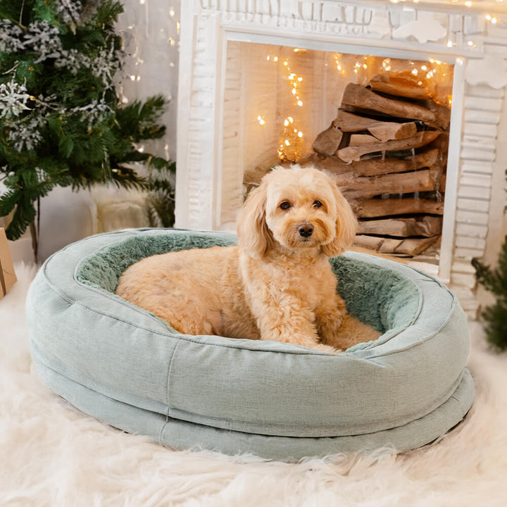 "Orthopädisches flauschiges Haustierbett in Donutform, beige, für Hunde, bietet Komfort und Unterstützung auf glatten Böden."
