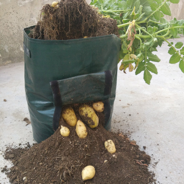 Kartoffeldyrkningspose i grøn med vindue, åndbar og genanvendelig, perfekt til altan eller terrasse.
