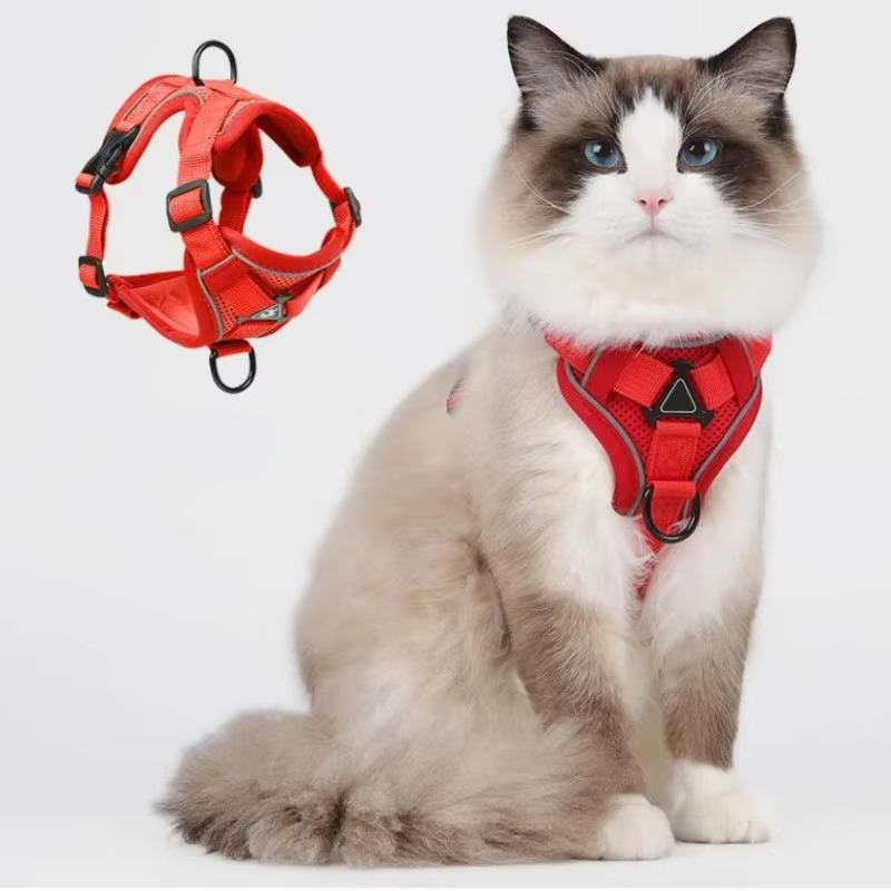 Reflekterende kattevestsele til små og store katte, med slidstærk komfortsnor.