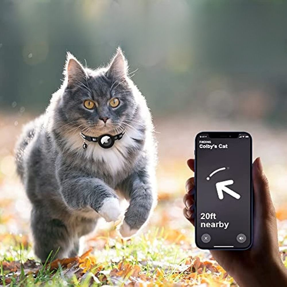 Reflekterende kattehalsbånd med sikkerhedslås og GPS-holder, for øget synlighed og beskyttelse.