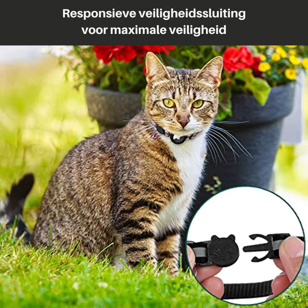 Reflekterende kattehalsbånd med sikkerhedslås og GPS-holder, for øget synlighed og beskyttelse.