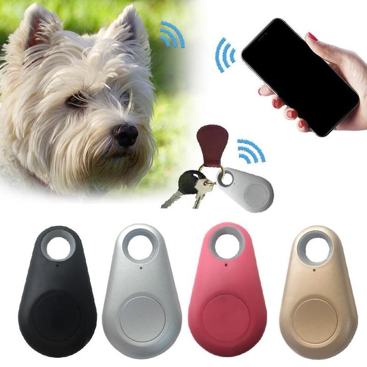 Vandtæt GPS-tracker til kæledyr i mini-størrelse, ideel til sporing af hunde og katte i al slags vejr.